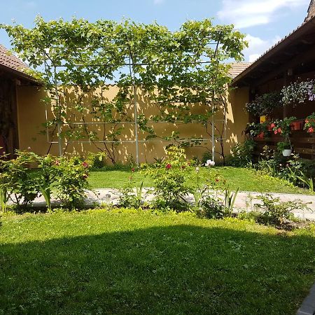 Willa Casa Ovesia Săcele Zewnętrze zdjęcie