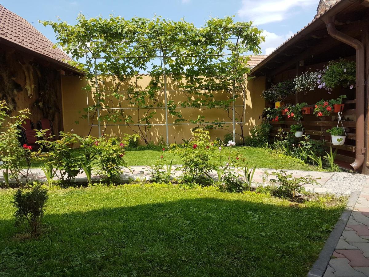 Willa Casa Ovesia Săcele Zewnętrze zdjęcie